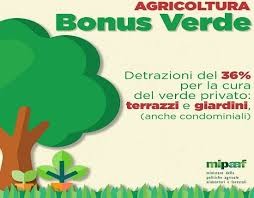 Bonus verde: ulteriori chiarimenti dell’Agenzia