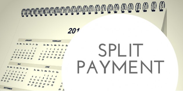 Split payment Elenchi per il 2019 del MEF