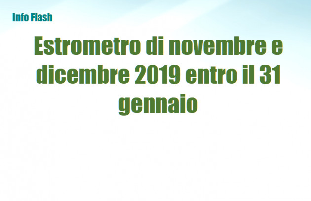 Esterometro di novembre e dicembre 2019 entro il 31 gennaio
