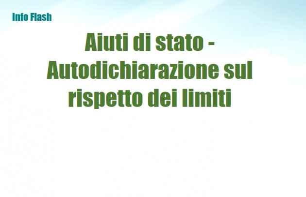 Aiuti di stato - Autodichiarazione sul rispetto dei limiti