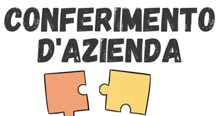 Riserva da conferimento di azienda - Riserva di utili o di capitale