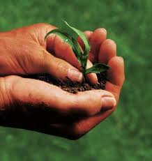 Nuove regole per l’accesso alla qualifica di giovane agricoltore: modificati i requisiti formativi e la tempistica